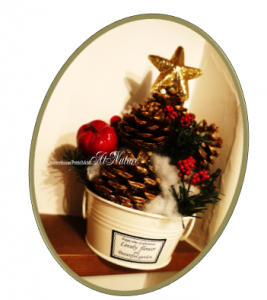 ナチュレ　クリスマス2